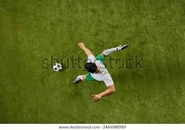 feature-entry-layout